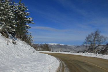 Similar image 5942565