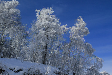 Similar image 5942567