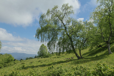 Similar image 5942586