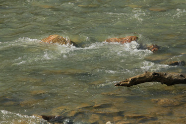 Similar image 5942587