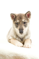 Similar image 5942610