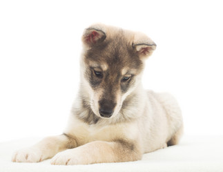 Similar image 5942612