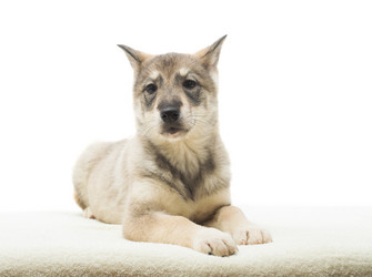 Similar image 5942613