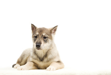 Similar image 5942617