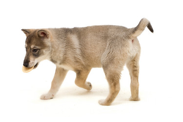 Similar image 5942618