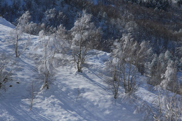 Similar image 5942619