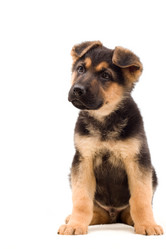 Similar image 5942627