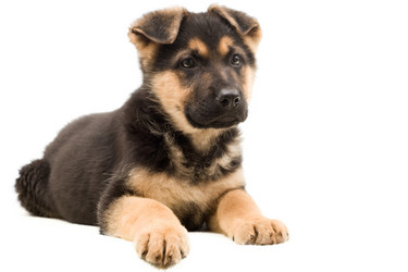 Similar image 5942629