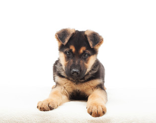 Similar image 5942633