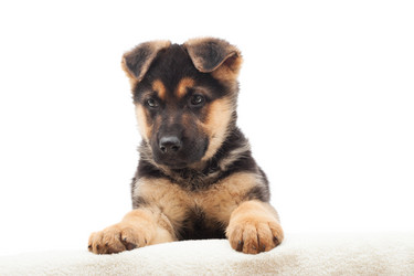 Similar image 5942634