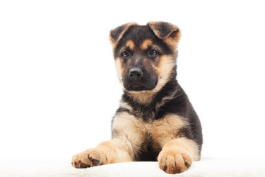 Similar image 5942635