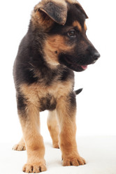 Similar image 5942636