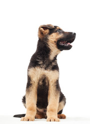 Similar image 5942637