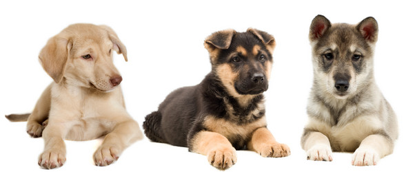 Similar image 5942640