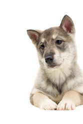 Similar image 5942641