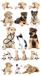 Similar image 5942642