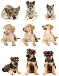 Similar image 5942643