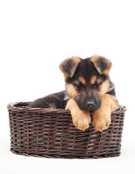 Similar image 5942645