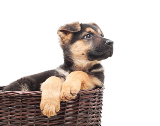 Similar image 5942646