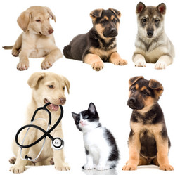 Similar image 5942650