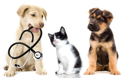 Similar image 5942651