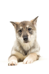 Similar image 5942652