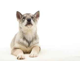 Similar image 5942654