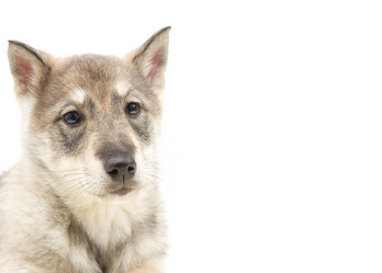 Similar image 5942655