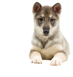 Similar image 5942657