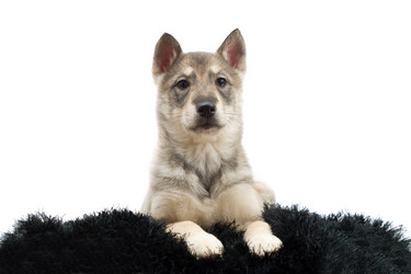 Similar image 5942658