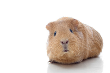 Similar image 5942672