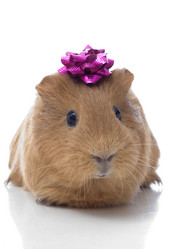 Similar image 5942674