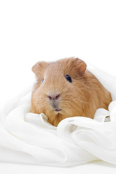 Similar image 5942675