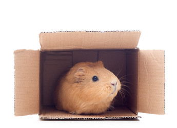 Similar image 5942676