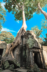 Similar image 5942722