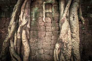 Similar image 5942723