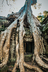 Similar image 5942728