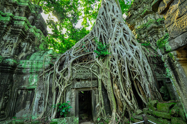 Similar image 5942738