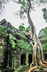 Similar image 5942832