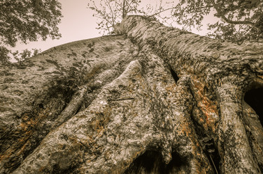 Similar image 5942835