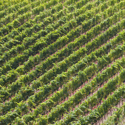 Similar image 5942949