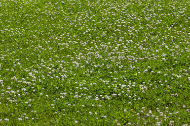 Similar image 5942953