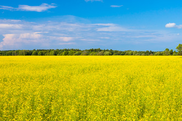 Similar image 5942982