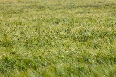 Similar image 5942990