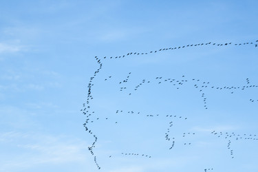 Similar image 5943011