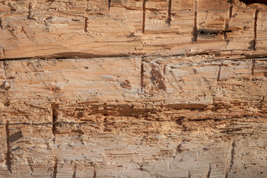 Similar image 5943012