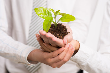 Similar image 5943102