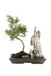 Similar image 5943406