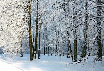 Similar image 5953112