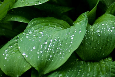 Similar image 5953144